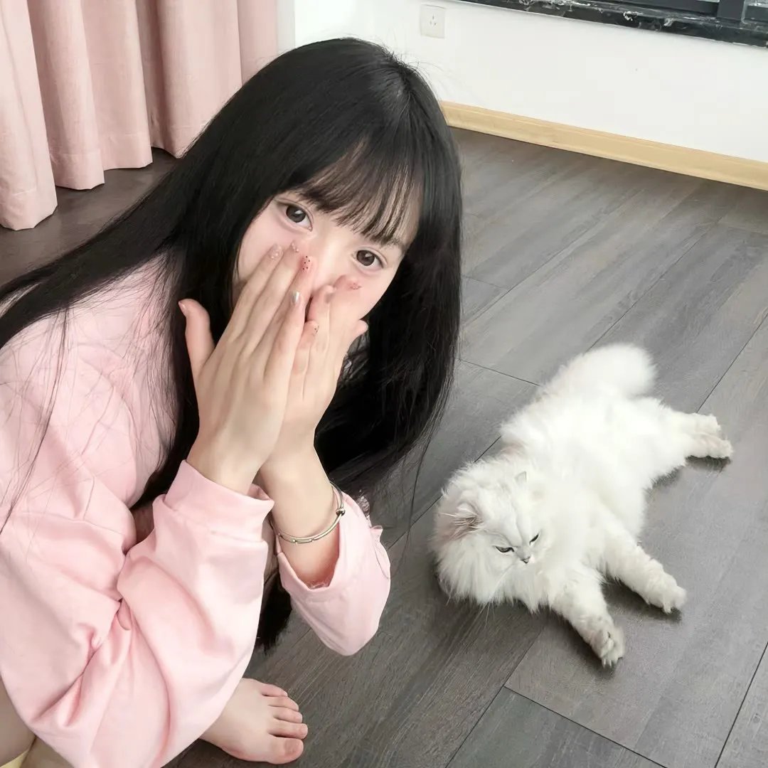 23号灯塔第二季