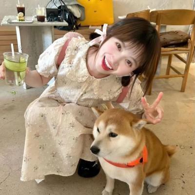 猪猪侠·不可思议的世界